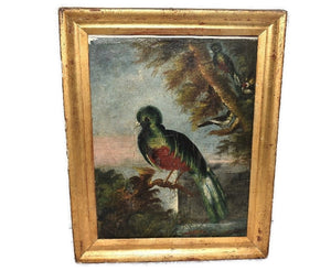 19th Cent Folk Art Oil Painting Birds of Paradise with Gilt Frame - Premier Estate Gallery 