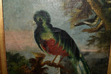 19th Cent Folk Art Oil Painting Birds of Paradise with Gilt Frame - Premier Estate Gallery 2