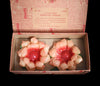 1950s Floating Poinsettia Christmas Candles Orig Box Penn Candle Works No 761, Vintage Christmas Decor - Premier Estate Gallery 1
