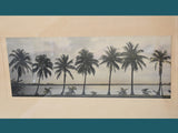 Antique Signed Artwork WJ Harris (1868-1940) Coconut Palms Florida Framed Tinted Photograph, Beach House Decor - Premier Estate Gallery 2