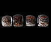 Vintage Tiger Cowrie Seashell Napkin Rings Set of 8, Coastal Nautical Beach Boho Table Decor - Premier Estate Gallery 2