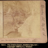 1899 Watkins Glen NY Stereograph Stereoscope Viewer Card Image, Historical Upstate New York Collectible - Premier Estate Gallery 1