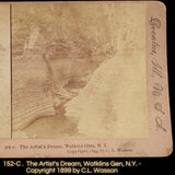 1899 Watkins Glen NY Stereograph Stereoscope Viewer Card Image, Historical Upstate New York Collectible - Premier Estate Gallery 1
