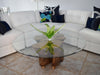 Naturally Sculpted Cypress Tree Stump Coffee Table Beveled Glass Top - Premier Estate Gallery