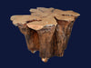 Naturally Sculpted Cypress Tree Stump Coffee Table Beveled Glass Top - Premier Estate Gallery 8