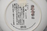 Imperial Jingdezhen Porcelain Geisha Plates Beauties Red Mansion Goddesses X12